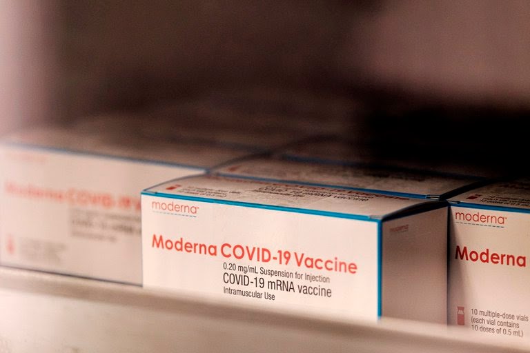  Cofepris alertó sobre la venta ilegal de la vacuna de Moderna a través de internet: “Es un riesgo a la salud”