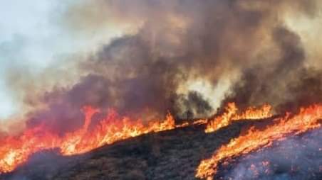  Declaran a cinco municipios en emergencia por incendios en Oaxaca