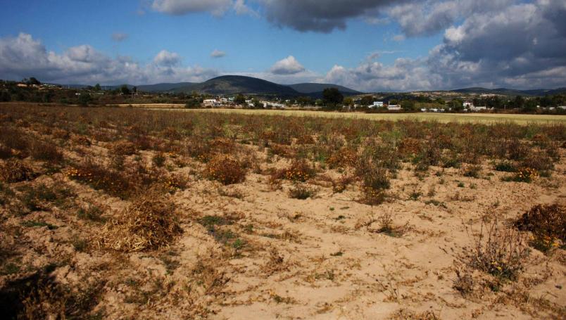  Reporta Oaxaca 42 municipios con sequía en los que va del 2021