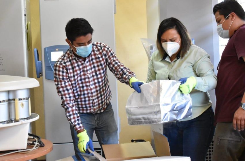  Arriban a Oaxaca 24 mil 375  dosis de la vacuna Pfizer: SSO