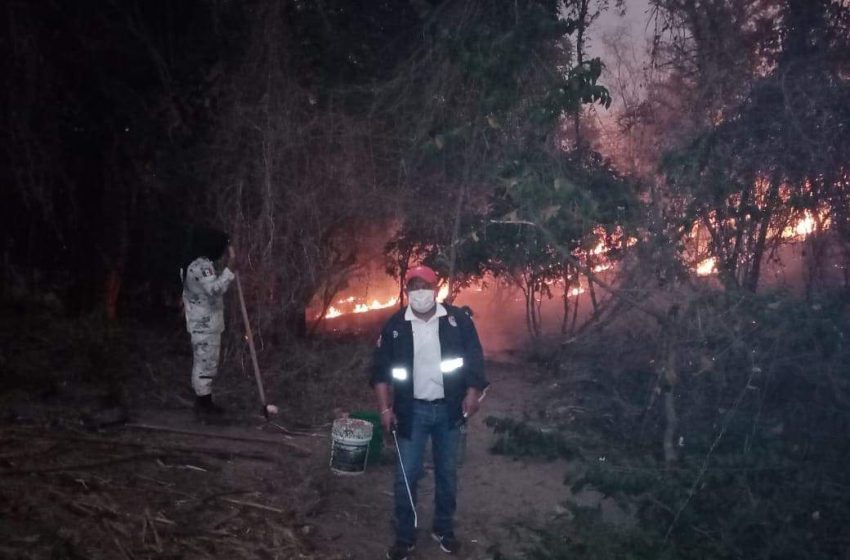  Durante el fin se semana, se registraron 4 incendios forestales en Oaxaca