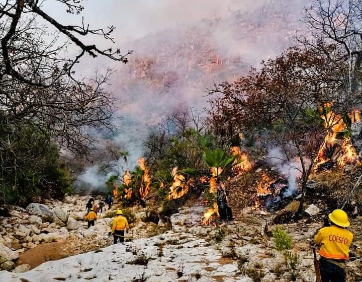  Controla Coesfo incendio en Magdalena Jaltepec