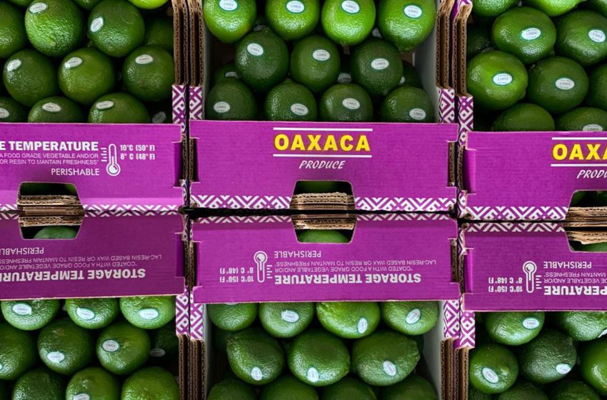  Se consolida #Oaxaca como productor agroalimentario a nivel nacional