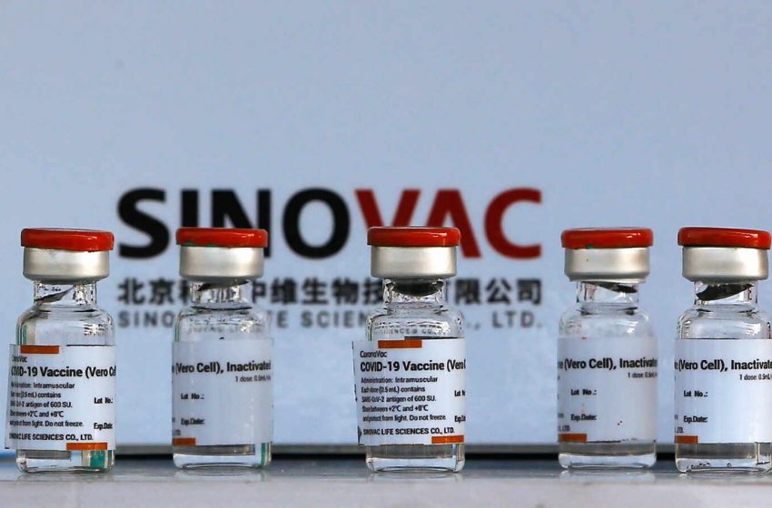  Sinovac, vacuna china contra la covid es aprobada por la OMS.