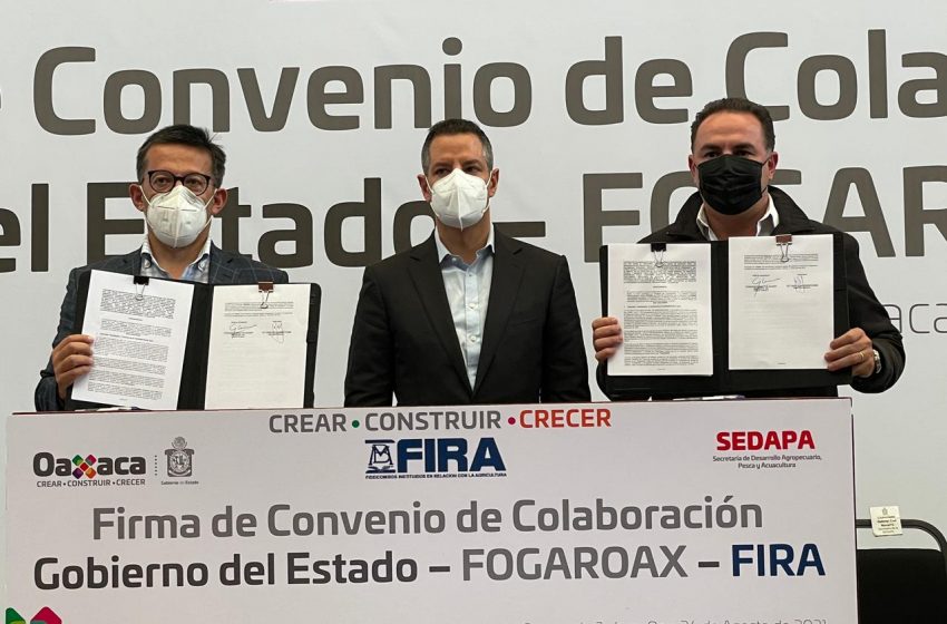  Gobierno de Oaxaca crea condiciones para el desarrollo del campo