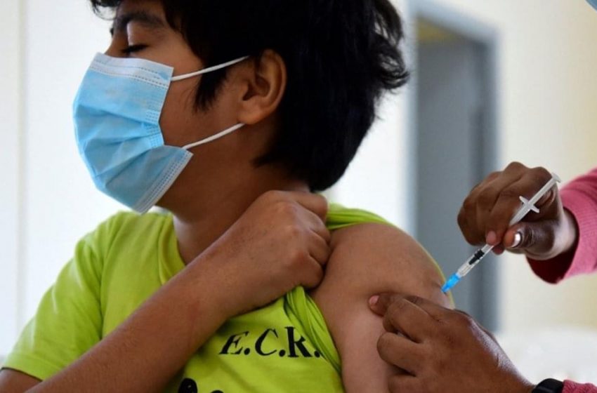  Pfizer anuncia que su vacuna antiCovid es efectiva para niños de entre 5 y 11 años