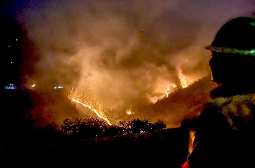  Más de mil hectáreas han sido afectadas en Oaxaca por incendios forestales