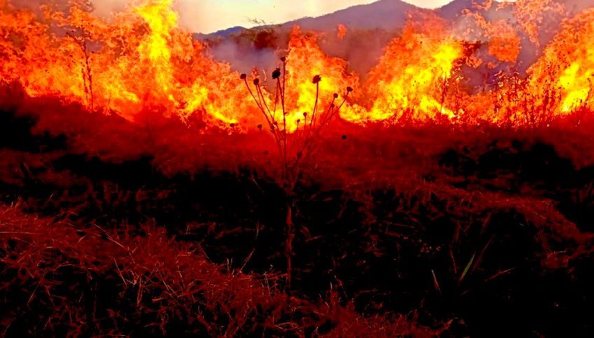  Alertan por incremento de incendios forestales en Oaxaca