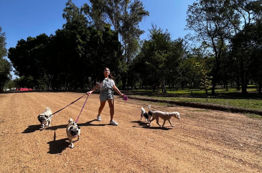  Cuatro parques públicos de Oaxaca ya son ¡Pet Friendly!