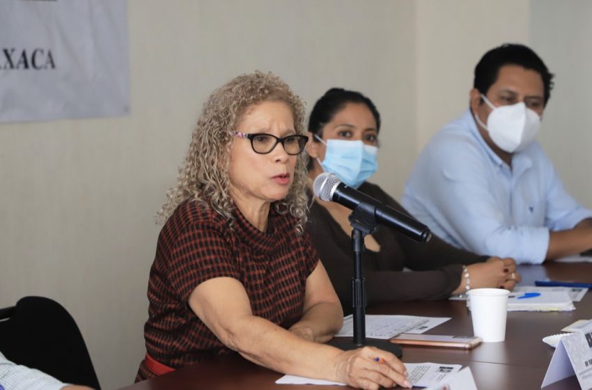  Avanza proceso para construir ley que proteja al maguey en Oaxaca