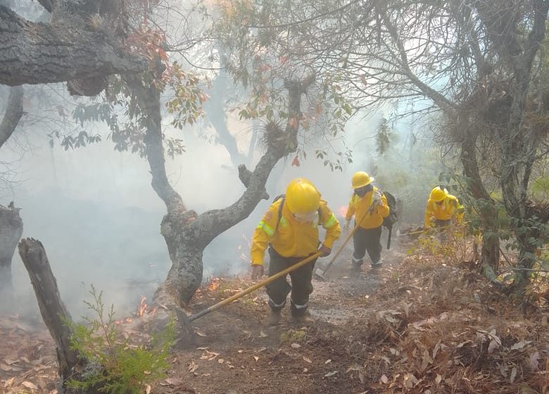  Instancias estatales, federales y municipales liquidan incendios forestales en la Mixteca y Sierra Sur