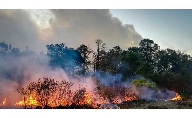  Oaxaca, segundo lugar nacional por incendios forestales activos
