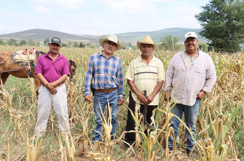  Propone diputado Horacio Sosa establecer como obligación del Gobierno inversión para revertir sequía en Oaxaca