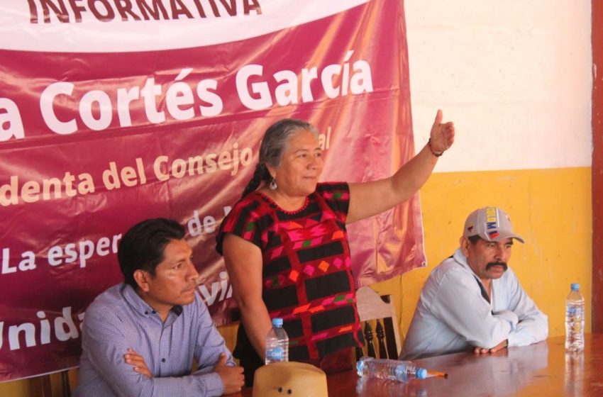  Con amplia trayectoria en Morena, Luisa Cortés busca candidatura al Senado