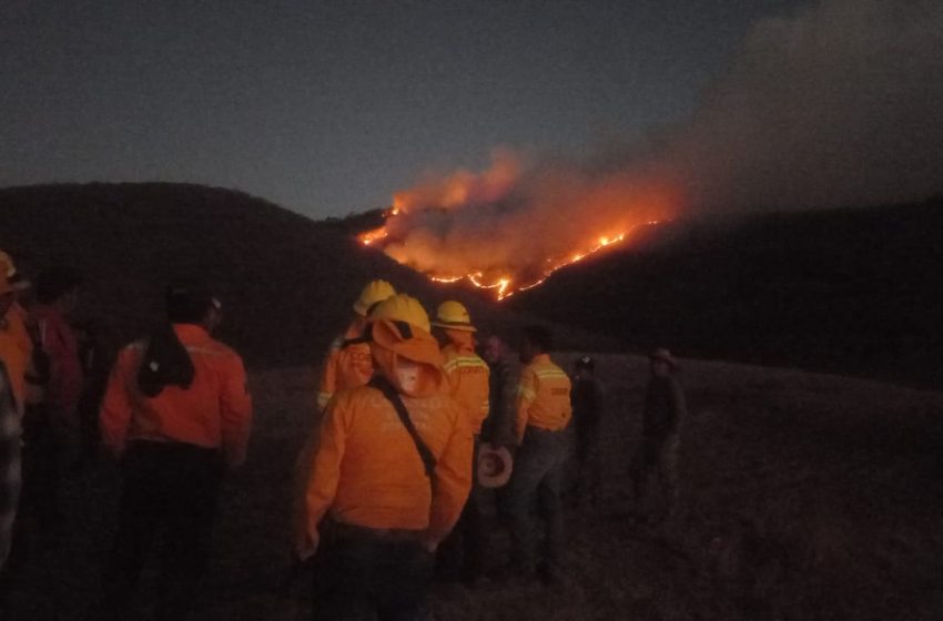  Reporta Coesfo control del 50% en incendio de la Sierra Sur