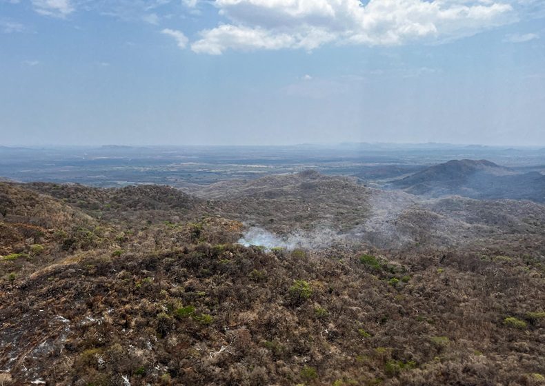  Siguen activos los incendios forestales en los Chimalapas