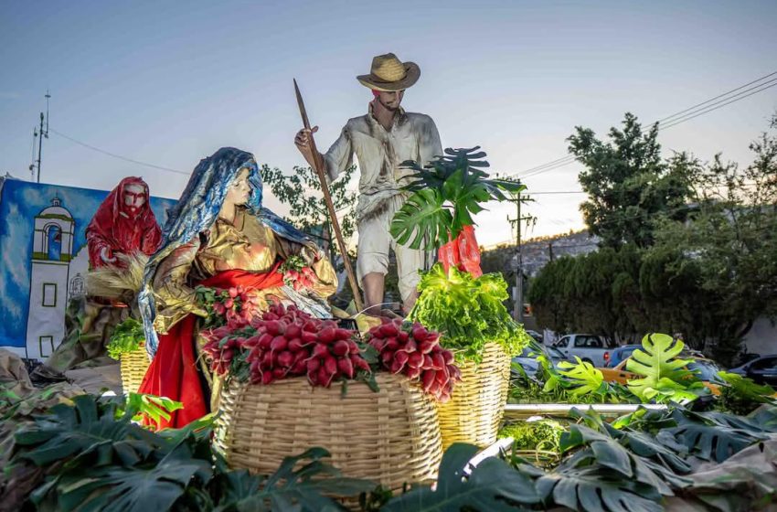  Todo listo para el gran Convite de Noche de Rábanos del Festival Navideño 2024