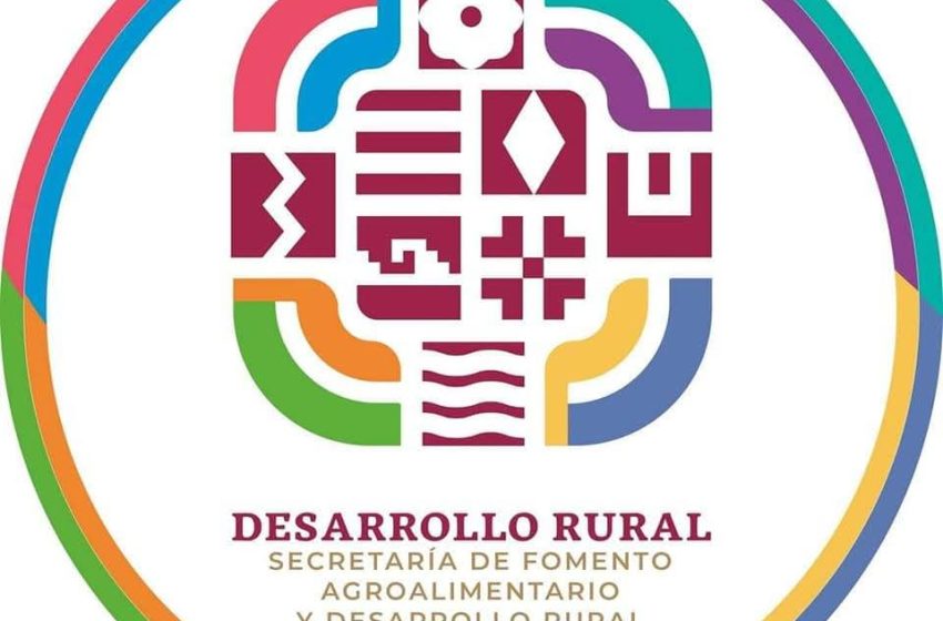  Brinda Gobierno de Oaxaca apoyo a connacional en retorno de los Estados Unidos