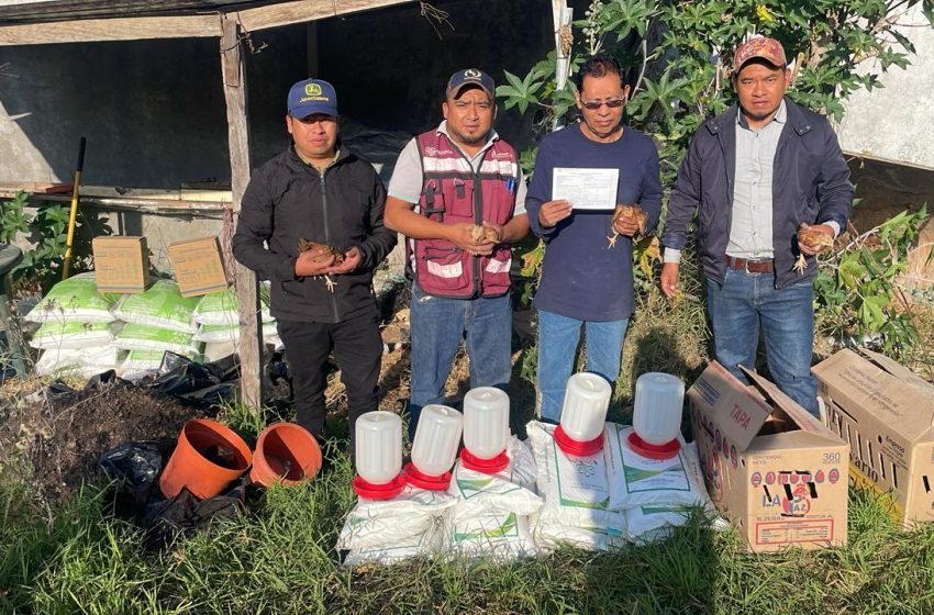  Recibe migrante retornado apoyo a través del Programa Oaxaca es tu Tierra
