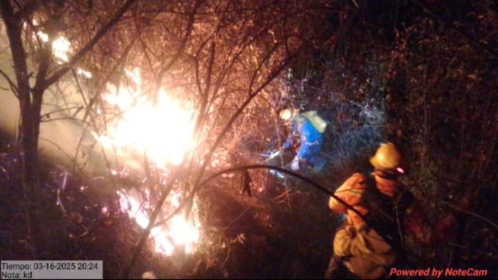  Incendio Forestal en Tlaxiaco: Coesfo Reporta 80% de Liquidación