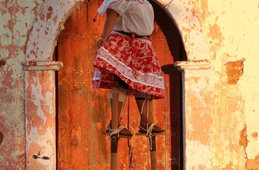  No rendirse: los pasos de Marina Ortiz