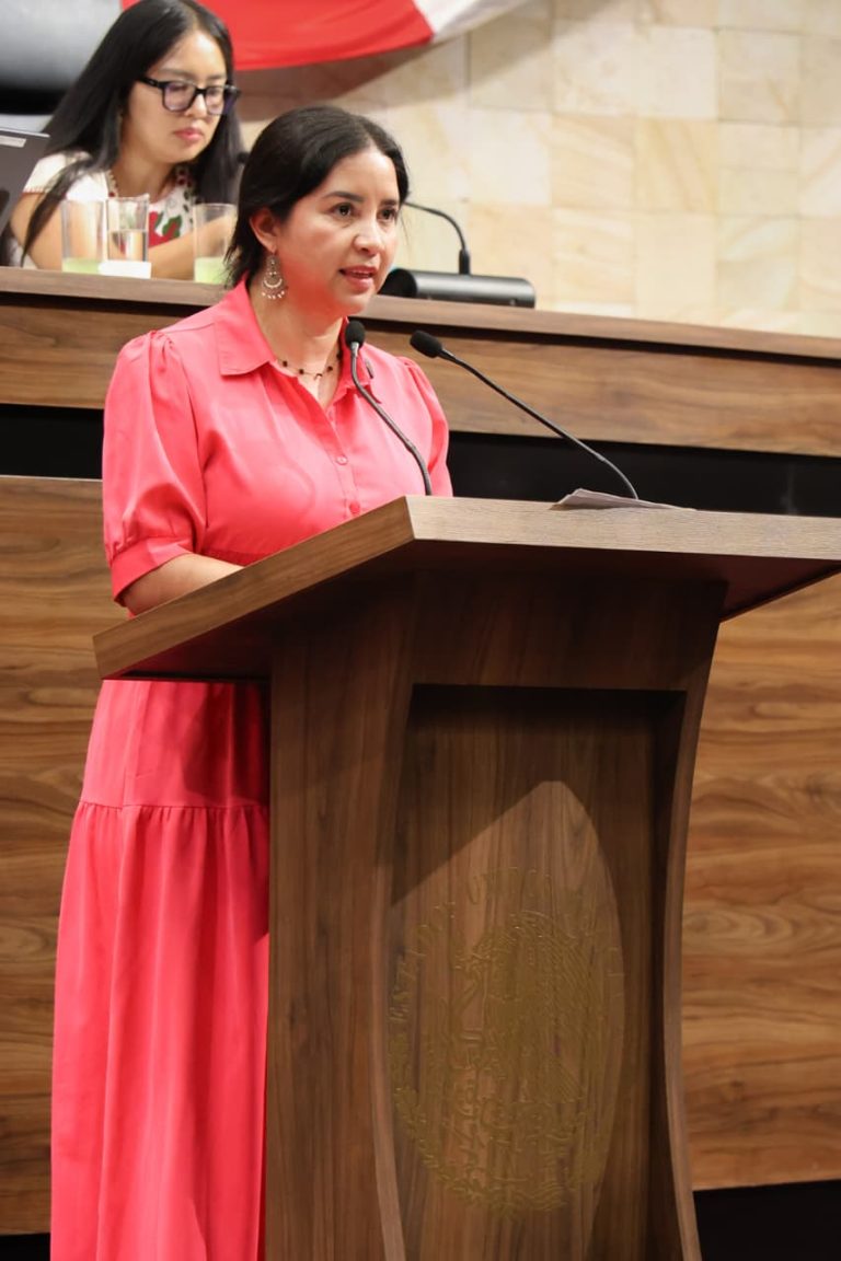 Diputada Elisa Zepeda presenta iniciativa para reconocer el “derecho al tiempo” de niñas, niños y adolescentes víctimas de violencia sexual