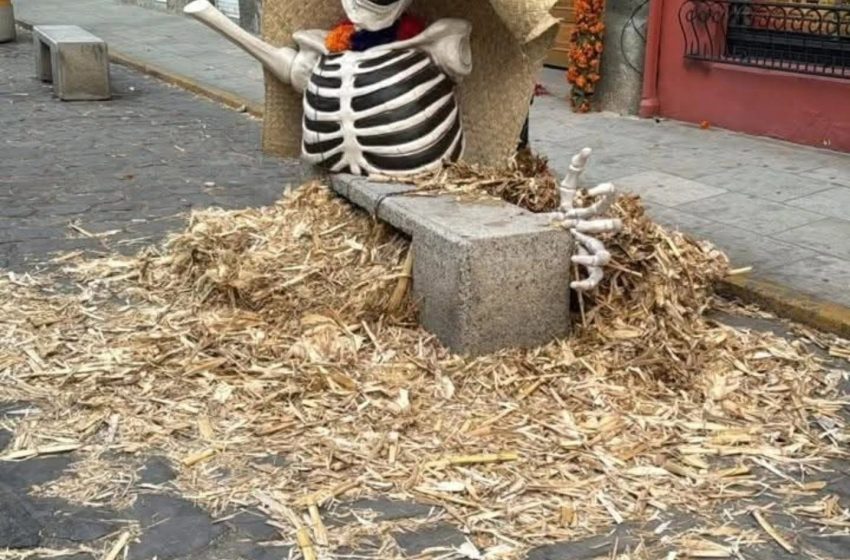  Oaxaca amaneció entre basura tras el fin de semana de Día de Muertos