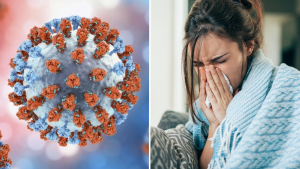 Alerta de Salud en México: Confirman Primer Caso de Influenza A H3N2 subclado K