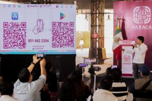 Nace Bina, la App digital para aprender palabras en lenguas originarias